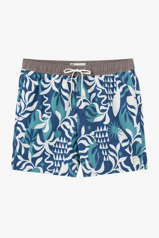 Oneill Mens Boardshorts OG Volley